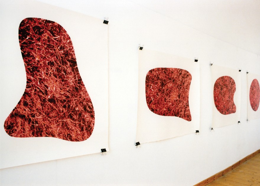 Installation view - Maps (Red I –IV) 2003 Screenprint, emboss on paper